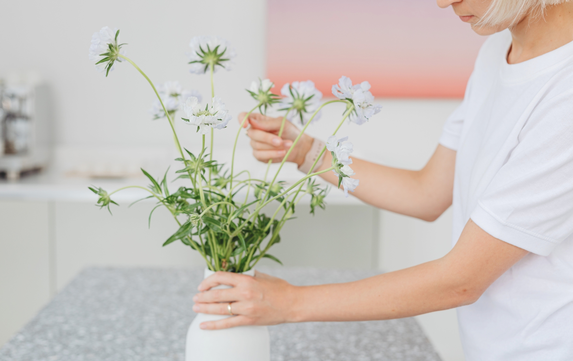 flex-home-care-proprietaires-conciergerie